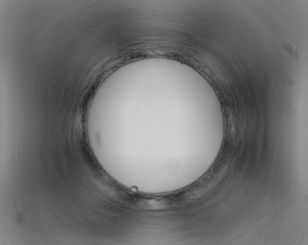 X0000115800506200911131025