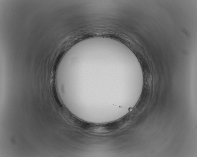 X0000115800507200911131025