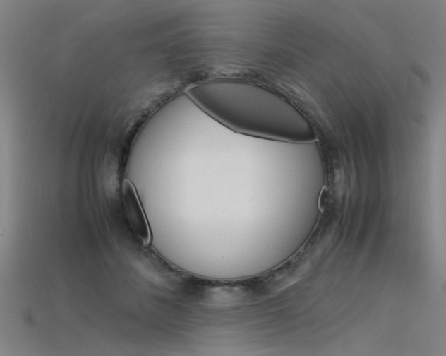 X0000115800508200911131025
