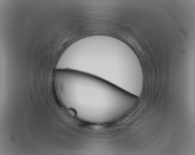X0000115800509200911131025