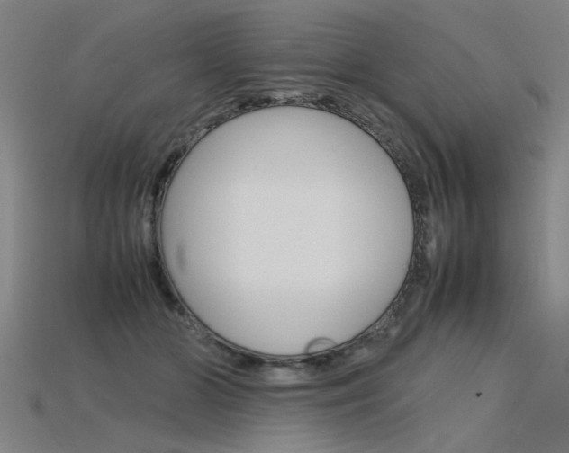 X0000115800510200911131025