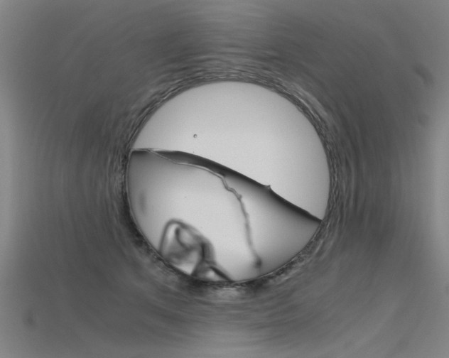 X0000115800513200911131025