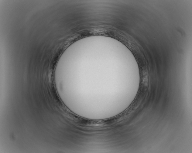 X0000115800514200911131025