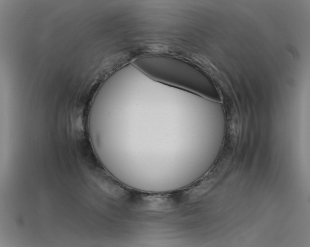 X0000115800516200911131025