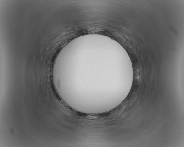 X0000115800519200911131025