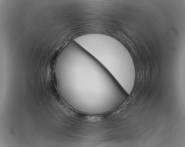 X0000115800520200911131025