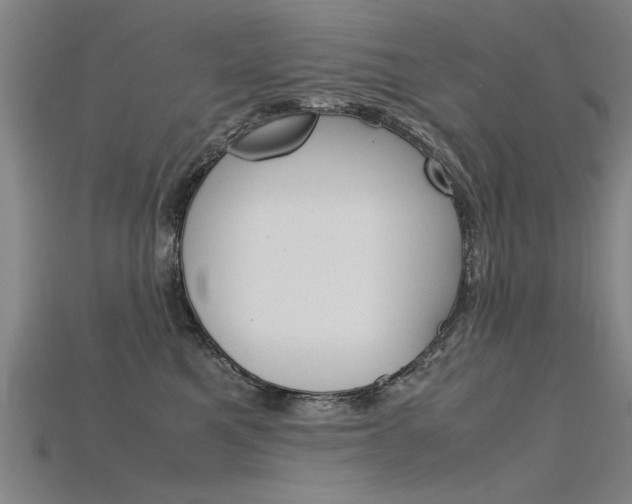 X0000115800521200911131025