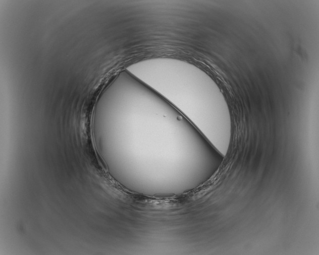 X0000115800524200911131025