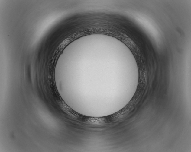 X0000115800526200911131025