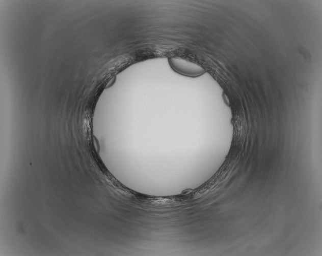 X0000115800527200911131025