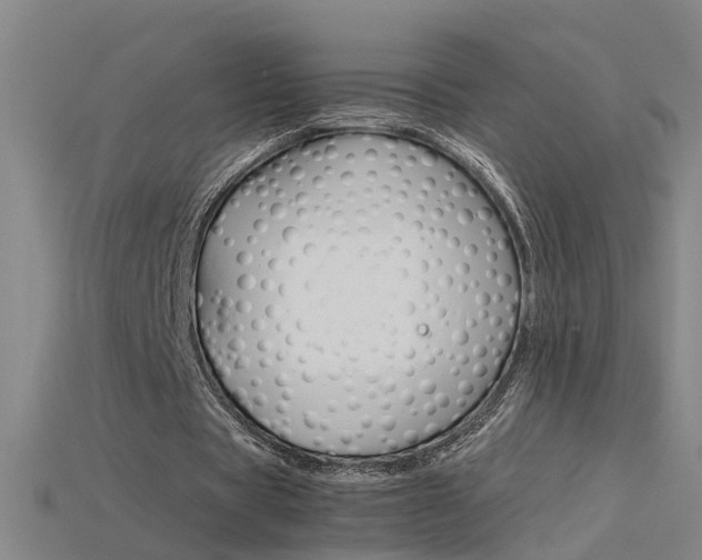 X0000115800529200911131024