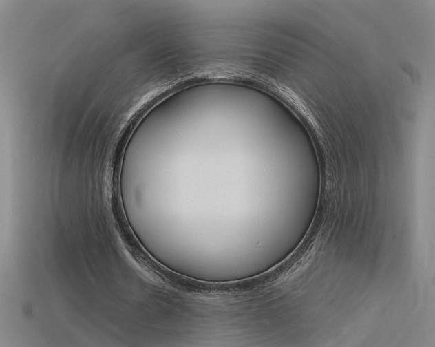 X0000115800530200911131024