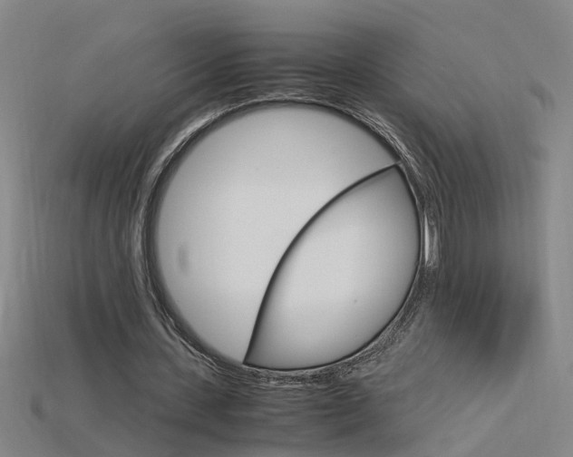 X0000115800531200911131024