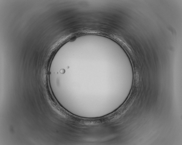 X0000115800533200911131024