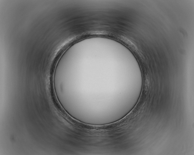 X0000115800535200911131024