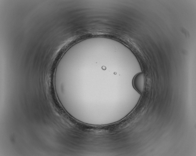 X0000115800539200911131024