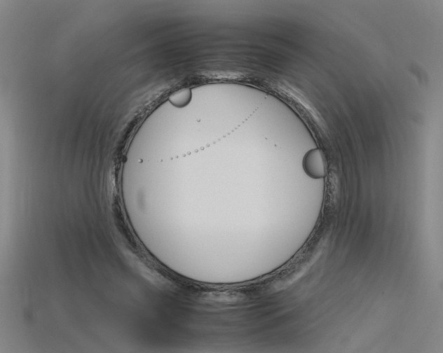 X0000115800541200911131024