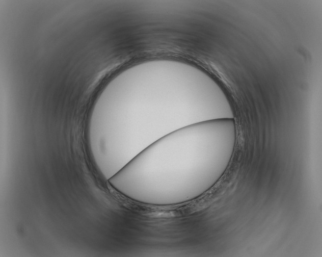 X0000115800543200911131024