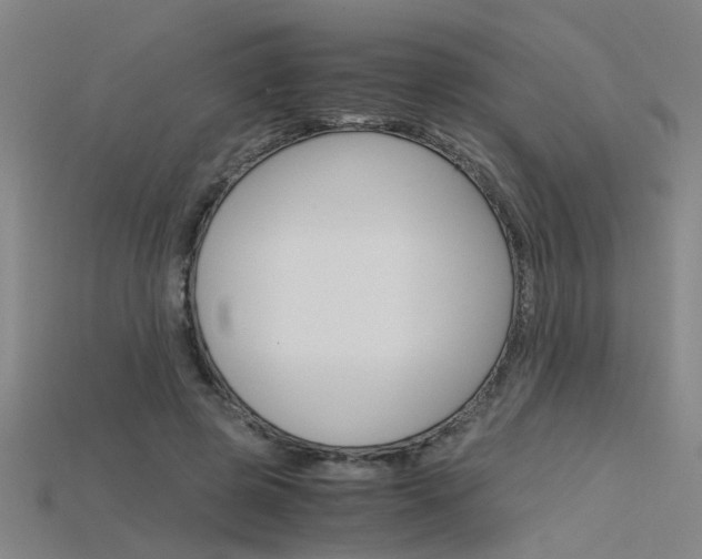 X0000115800545200911131024