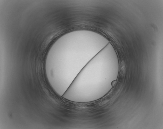 X0000115800547200911131024