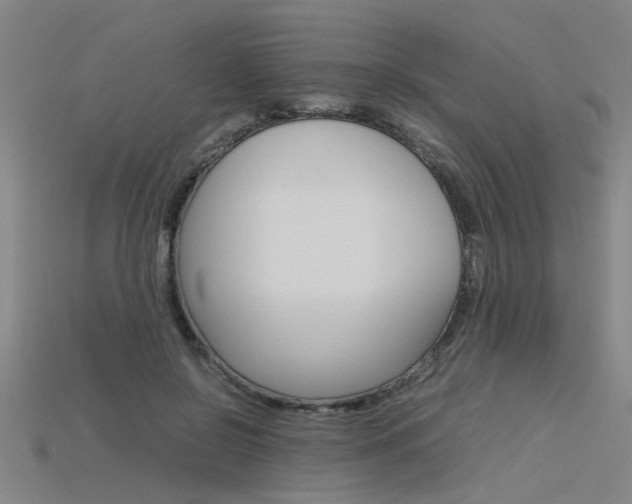 X0000115800550200911131024