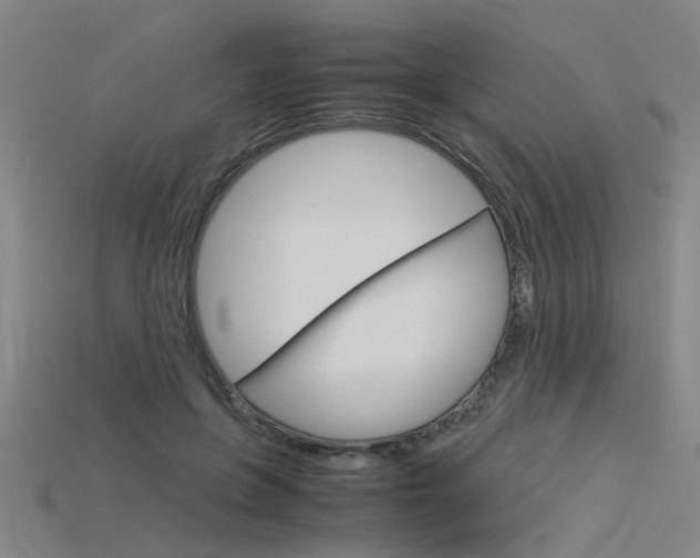 X0000115800551200911131024
