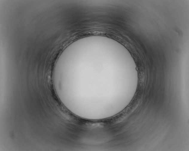 X0000115800553200911131024