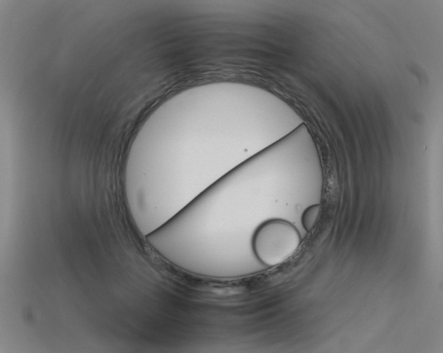 X0000115800555200911131024