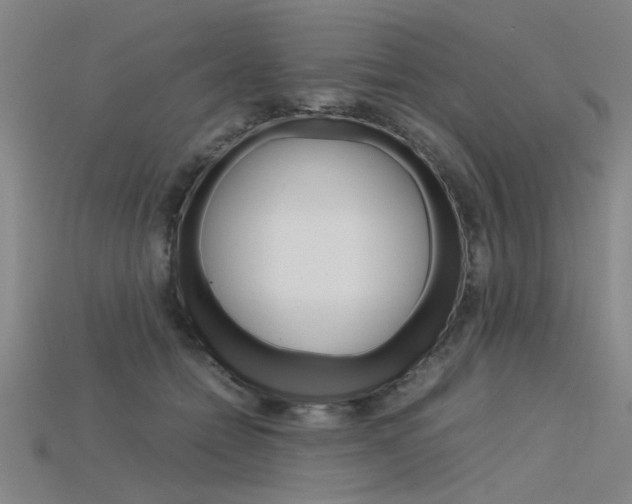 X0000115800558200911131025