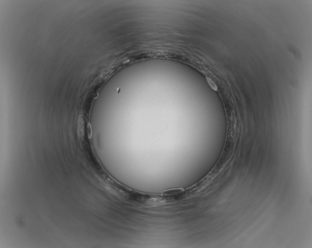 X0000115800562200911131025