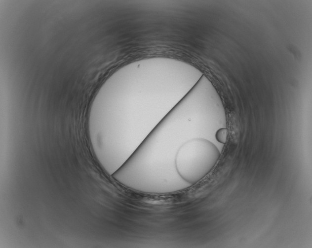 X0000115800563200911131025