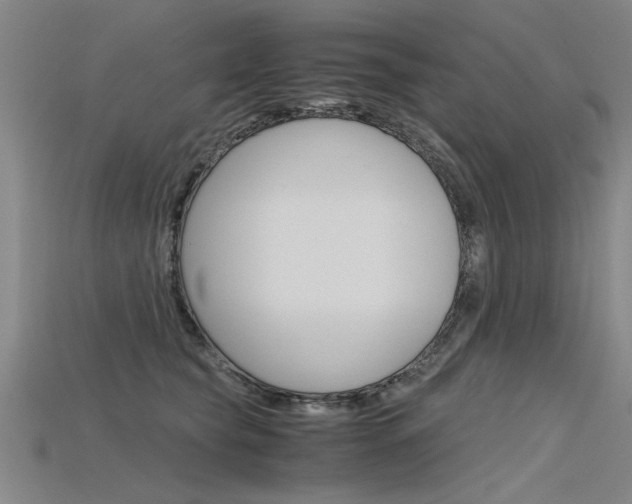 X0000115800565200911131025