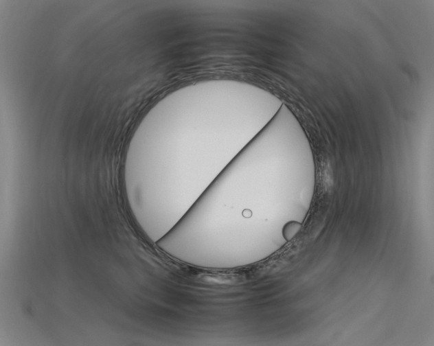 X0000115800567200911131025