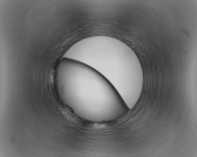 X0000115800570200911131025