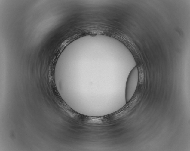 X0000115800573200911131025