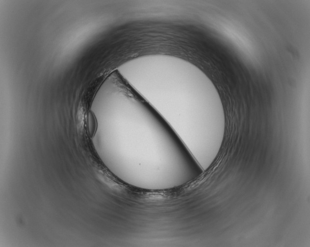 X0000115800574200911131025