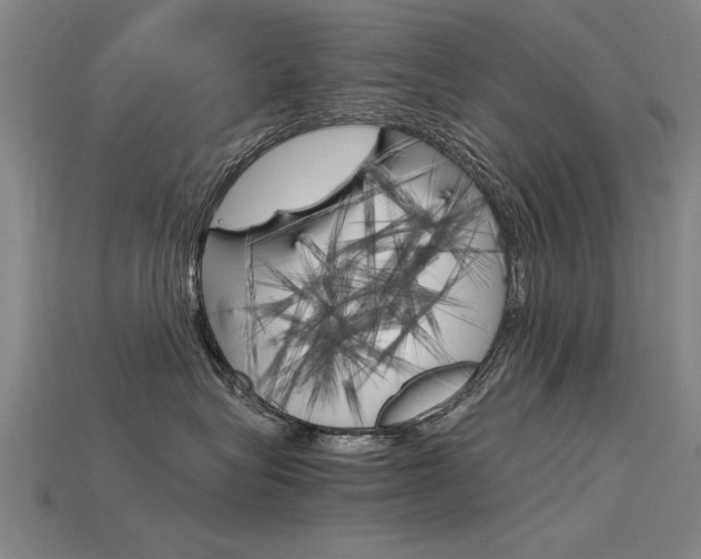 X0000115800575200911131025