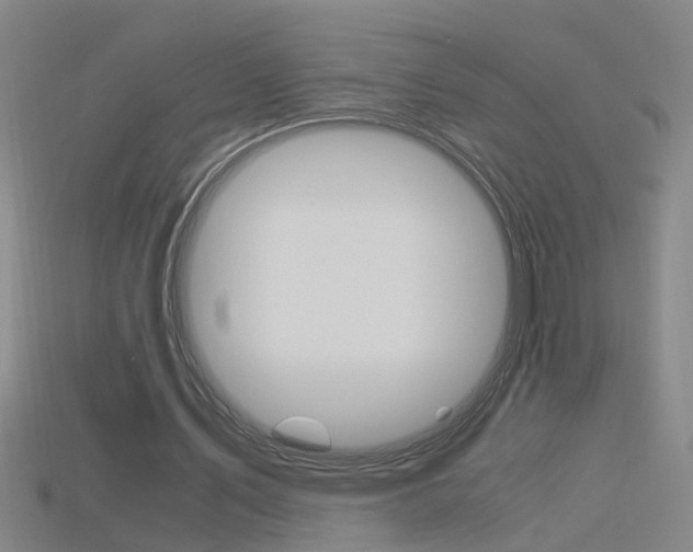 X0000115800579200911131024