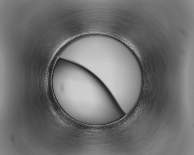 X0000115800580200911131024