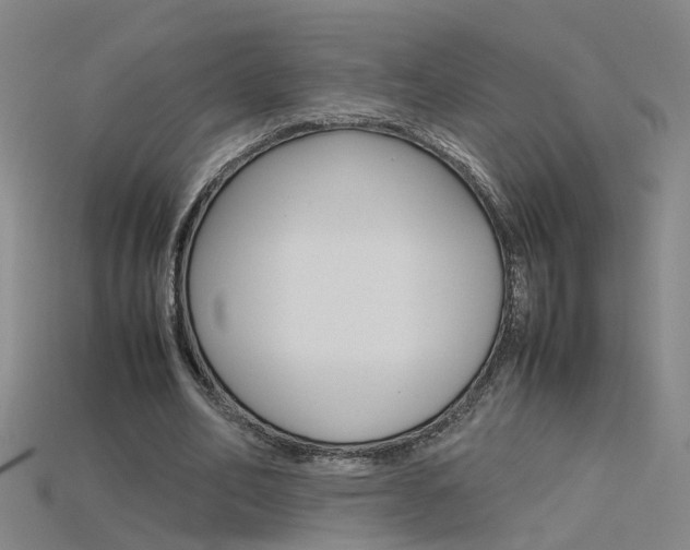 X0000115800582200911131024