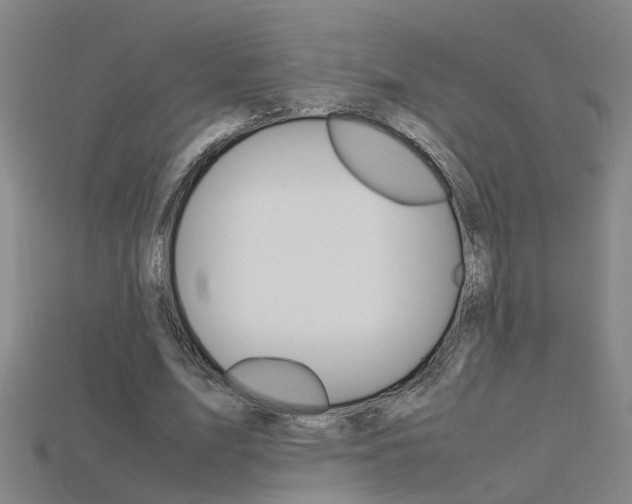 X0000115800583200911131024