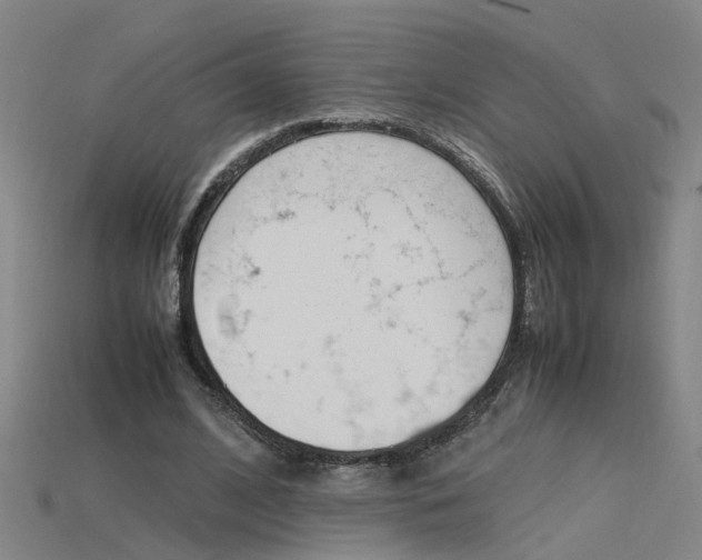 X0000115800584200911131024
