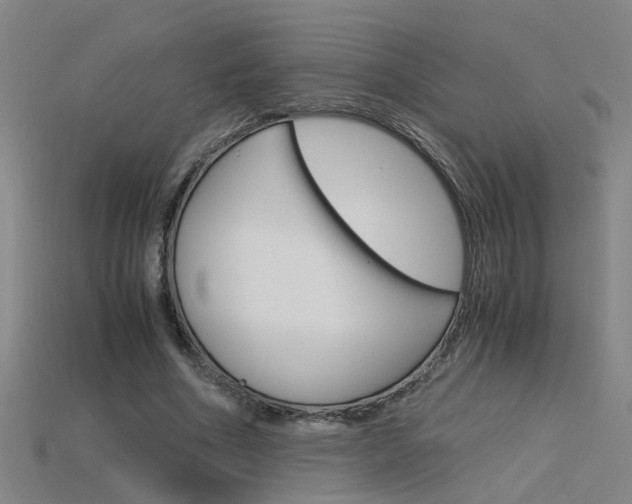 X0000115800586200911131024