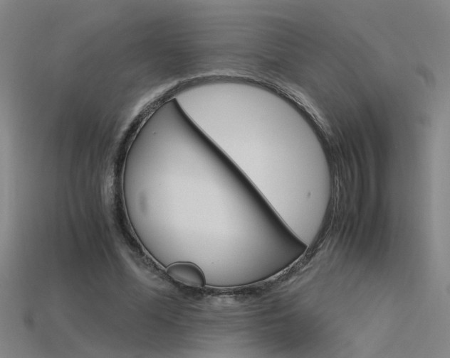 X0000115800588200911131024