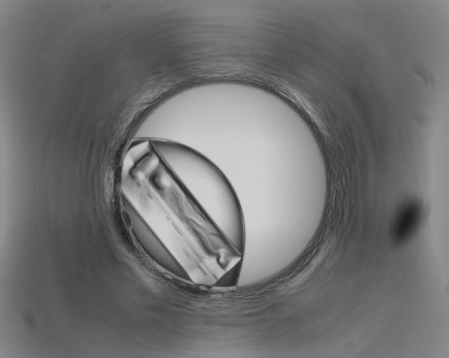 X0000115800589200911131024
