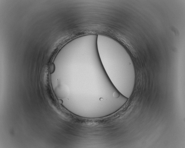 X0000115800590200911131024
