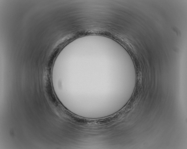 X0000115800591200911131024