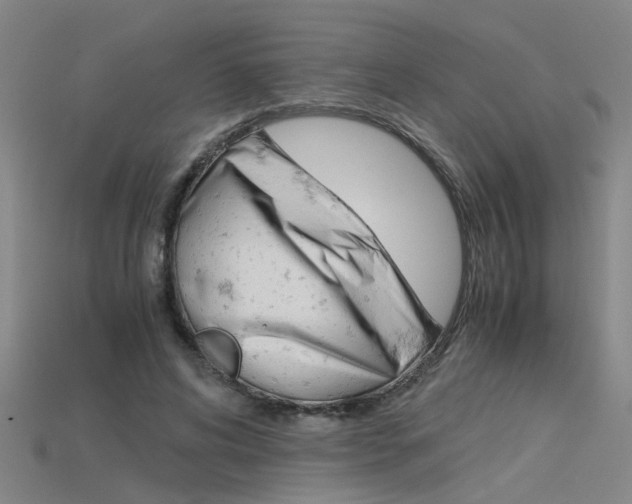 X0000115800592200911131024