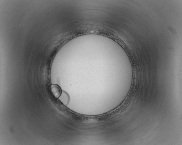 X0000115800594200911131024