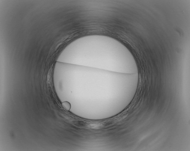 X0000115800595200911131024